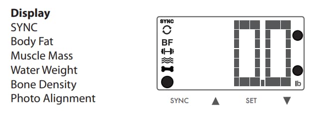 weight gurus smart scale manual