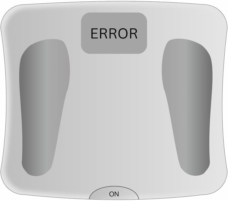 weight gurus smart scale manual