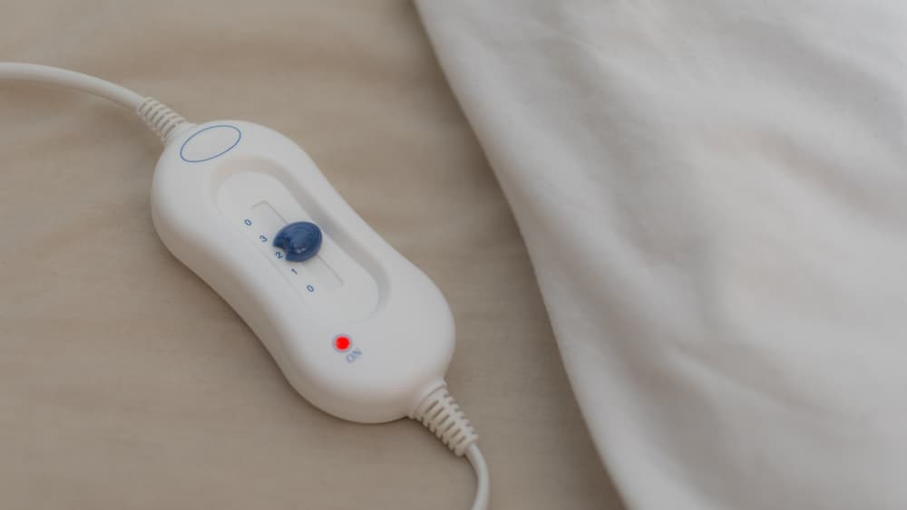 electric blanket kill bed bugs