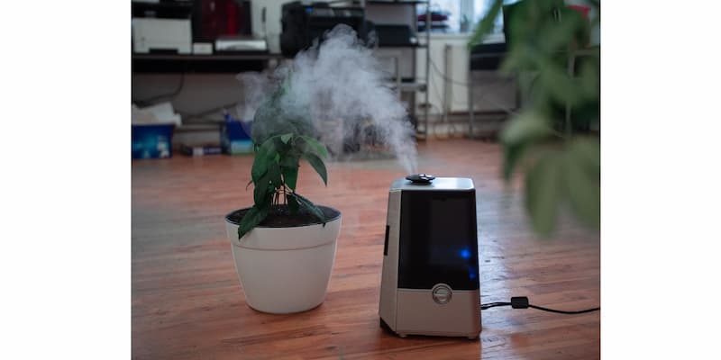 Will Air Purifier Get Rid of Dust